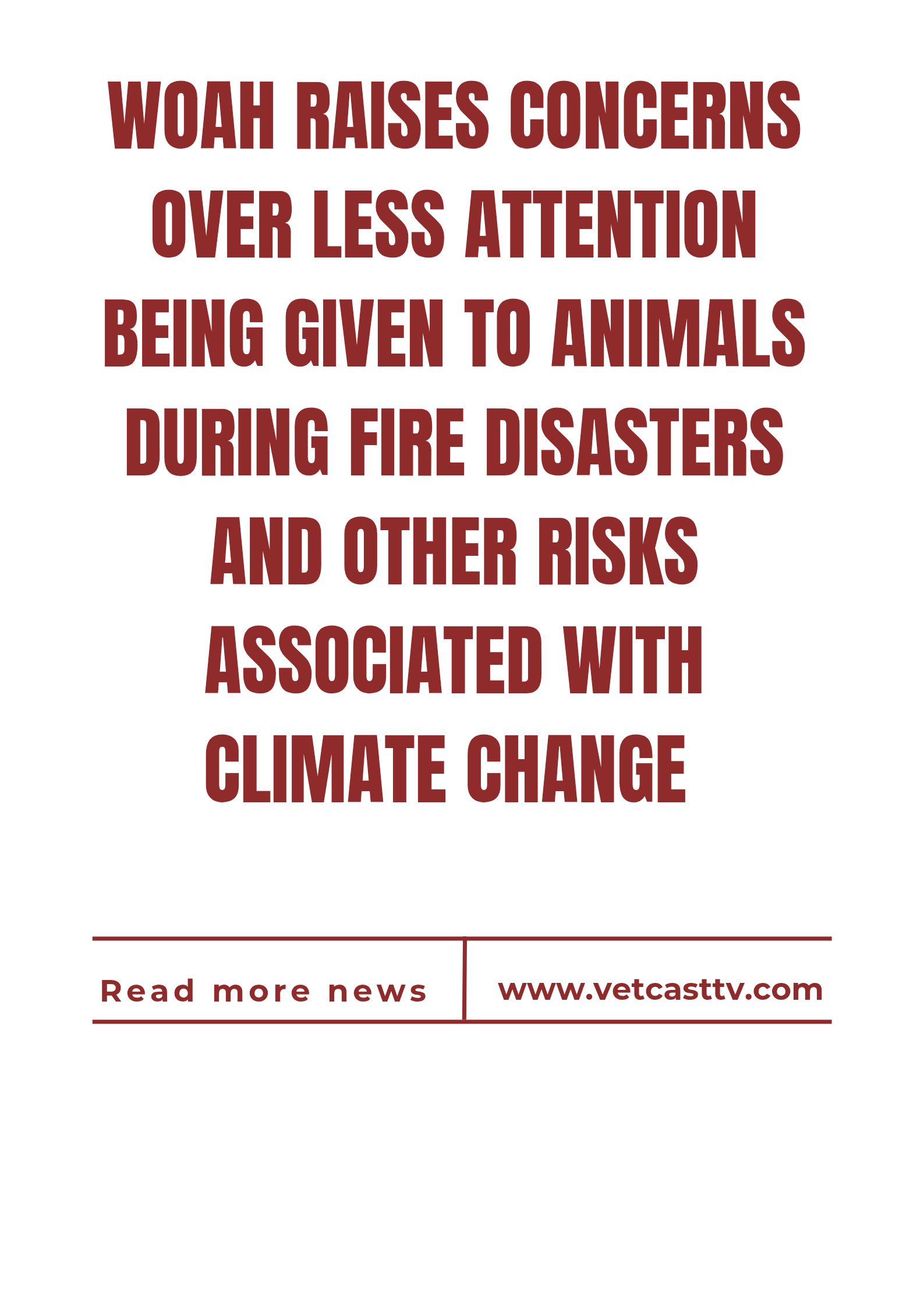 WOAH raises concerns over less attention being given to animals during fire disasters and other risks associated with climate change