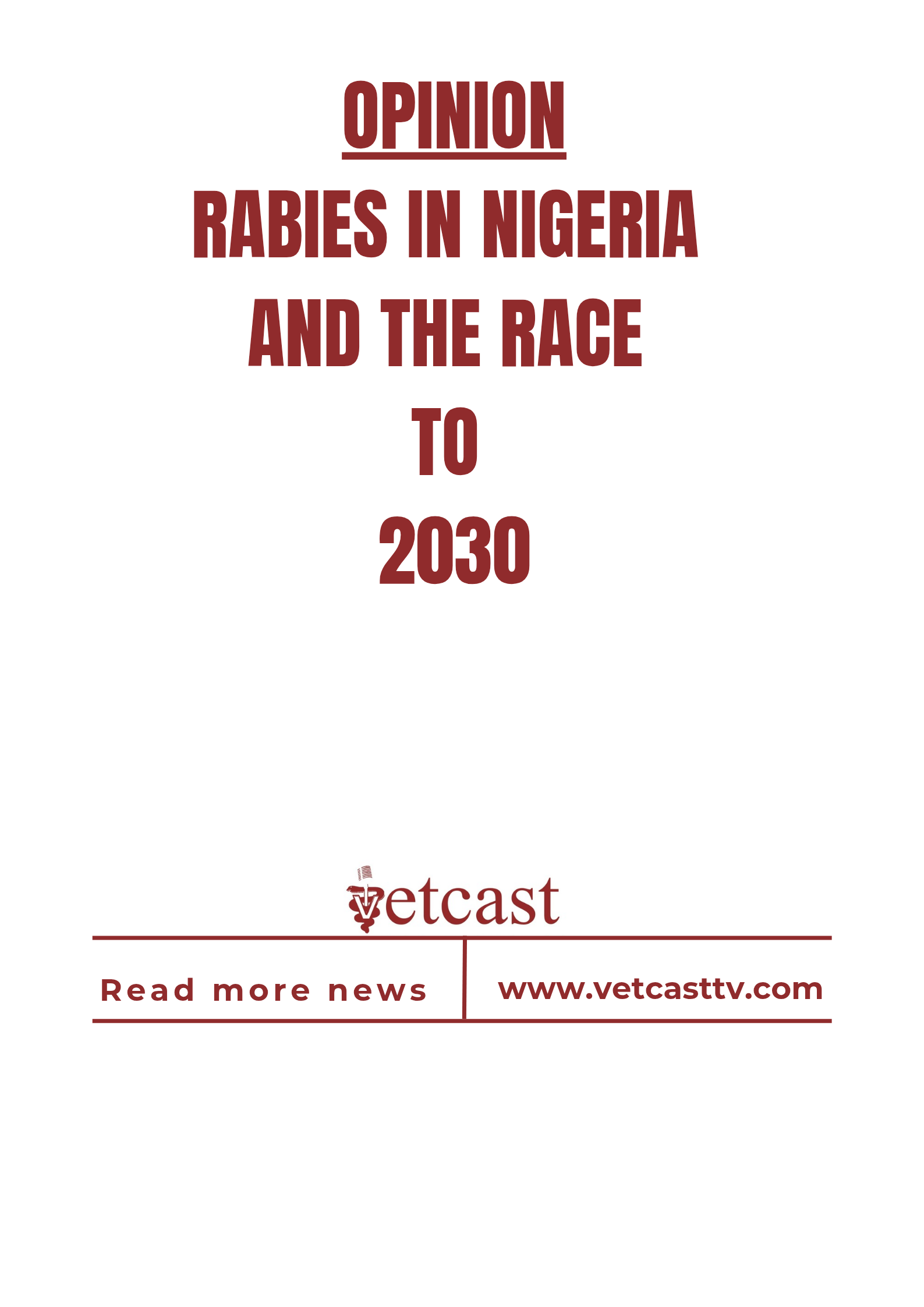 OPINION: RABIES IN NIGERIA AND THE RACE TO 2030.